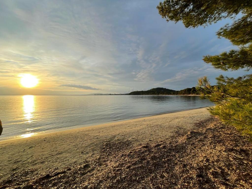 Appartement Plage Piscine Et Tennis Inclus La Londe-les-Maures Zewnętrze zdjęcie